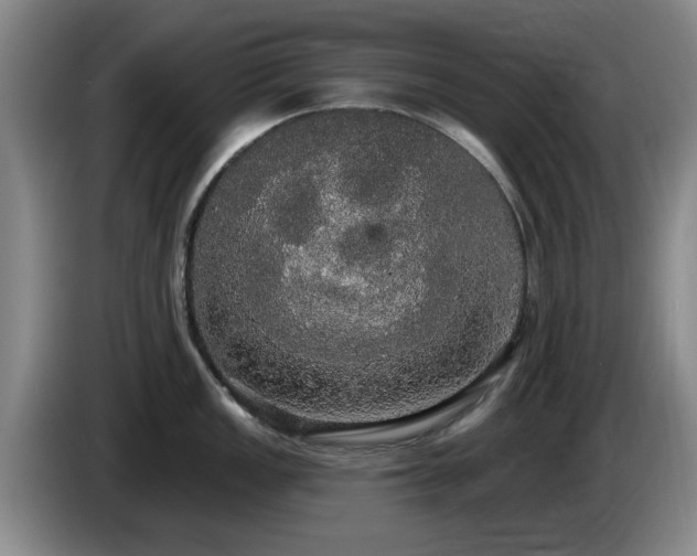 X0000085221149200703091154
