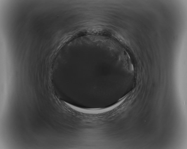 X0000085221153200703091154
