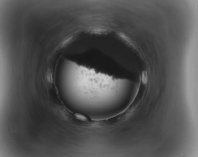 X0000085221155200703091154