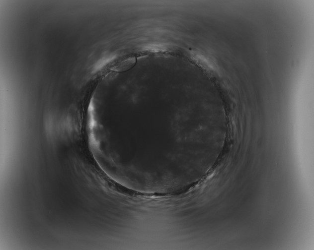X0000085221158200703091154