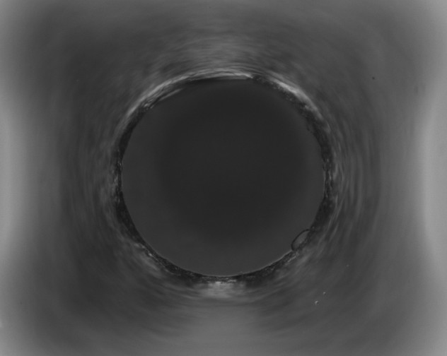 X0000085221160200703091153