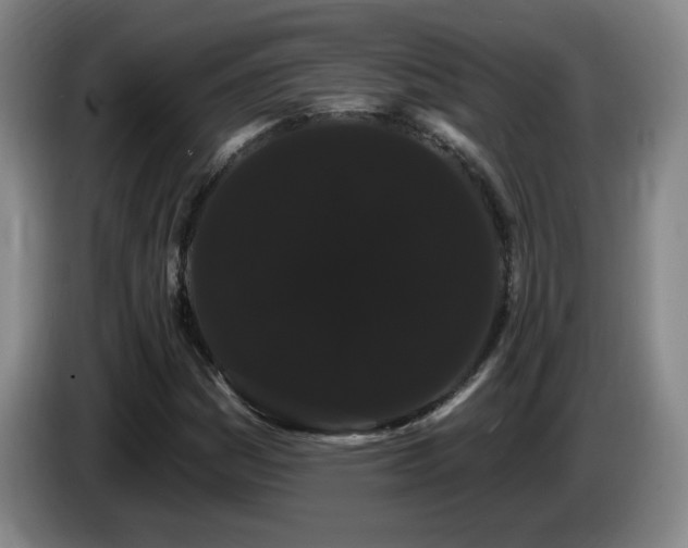 X0000085221161200703091153