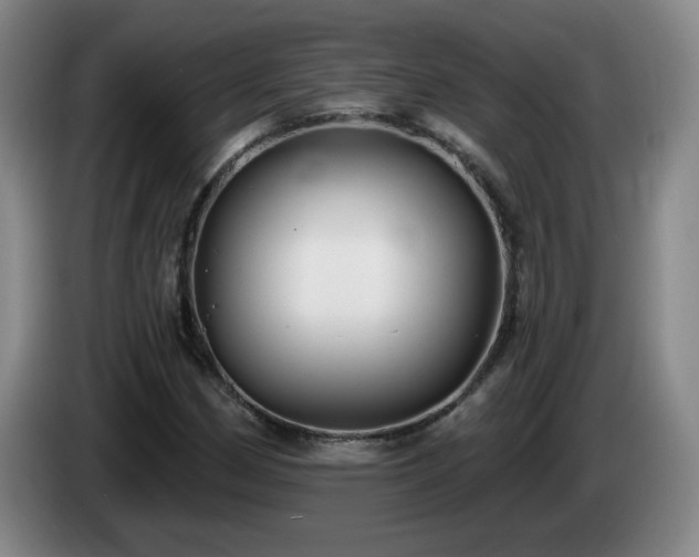 X0000085221162200703091153