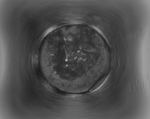 X0000085221163200703091153
