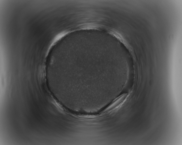 X0000085221164200703091153