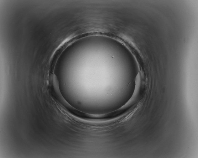 X0000085221165200703091153
