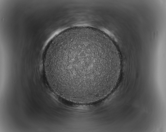 X0000085221167200703091153