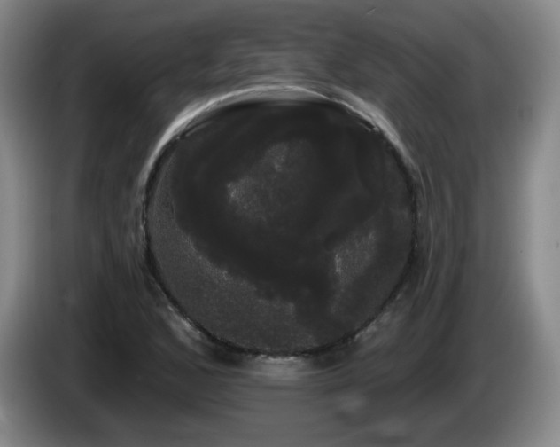 X0000085221168200703091153