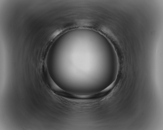 X0000085221169200703091153