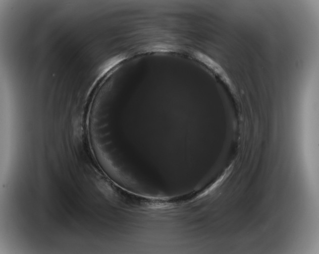 X0000085221170200703091153