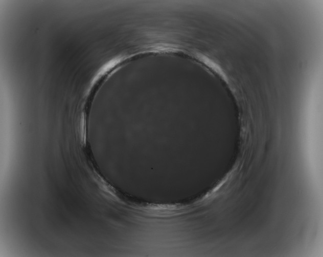 X0000085221171200703091153