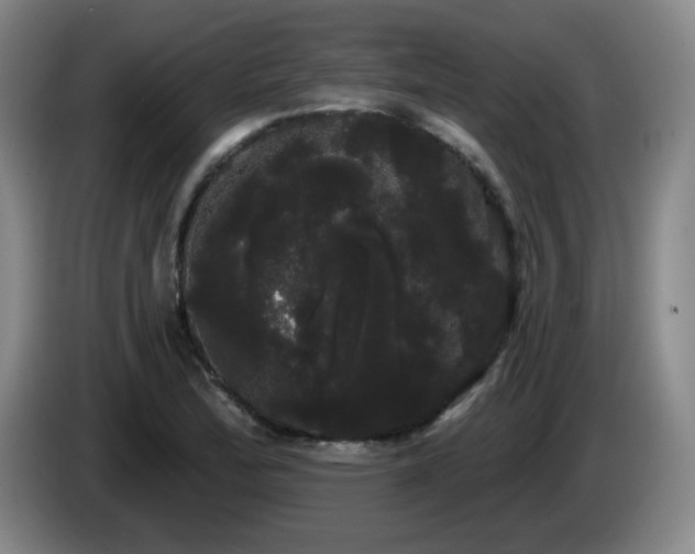 X0000085221172200703091153