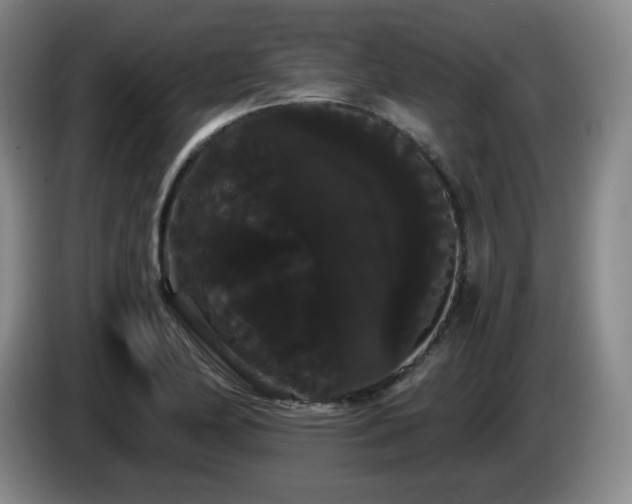 X0000085221174200703091153