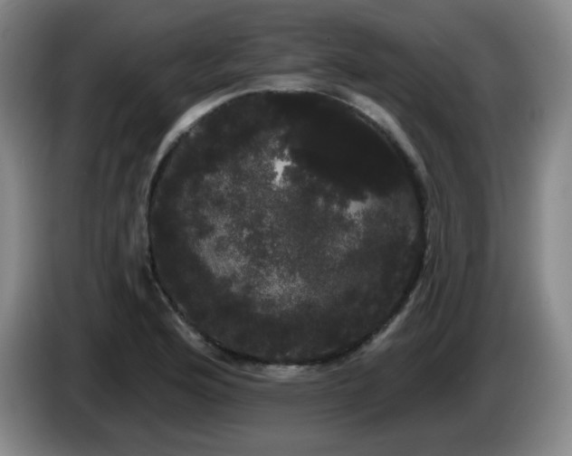 X0000085221176200703091153
