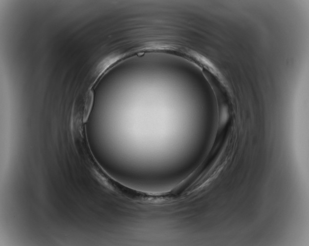 X0000085221177200703091153