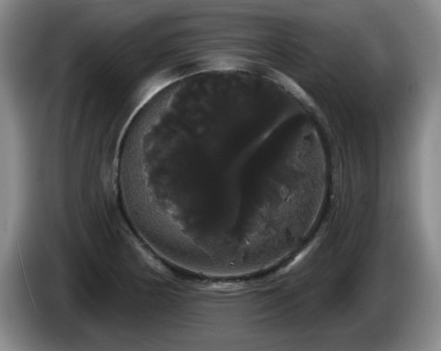 X0000085221178200703091153