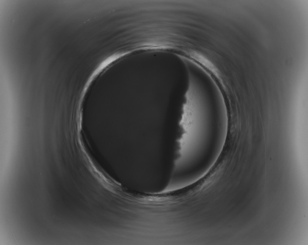 X0000085221179200703091153