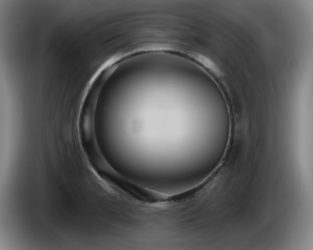 X0000085221181200703091153