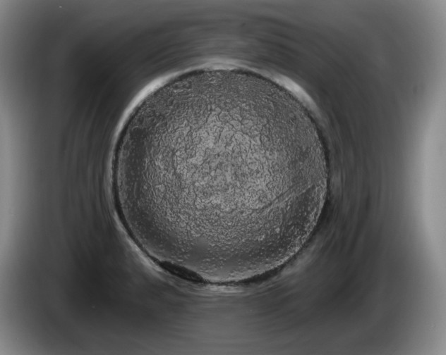 X0000085221183200703091153