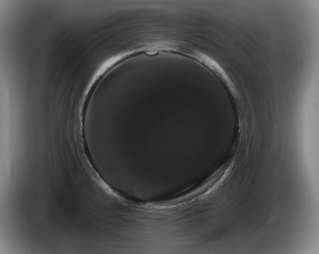 X0000085221184200703091153
