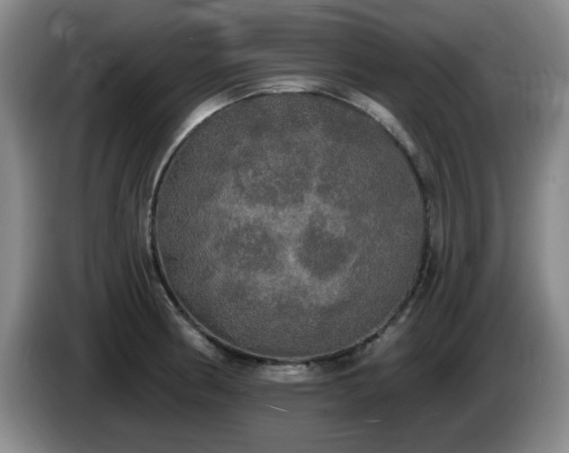 X0000085221186200703091153