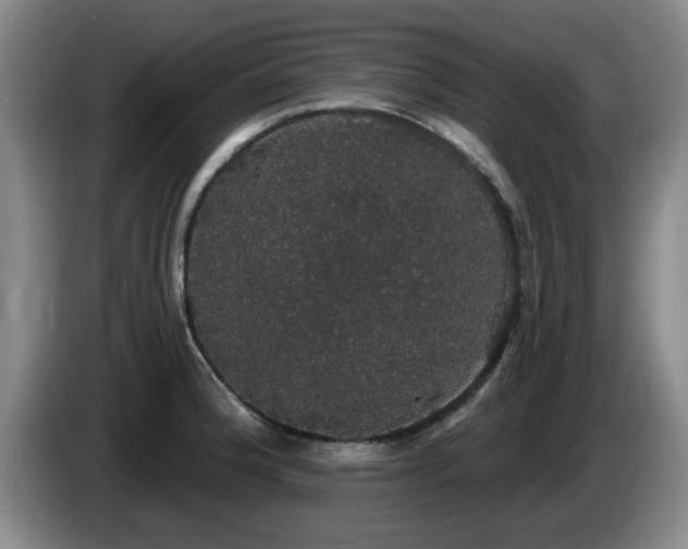 X0000085221188200703091153