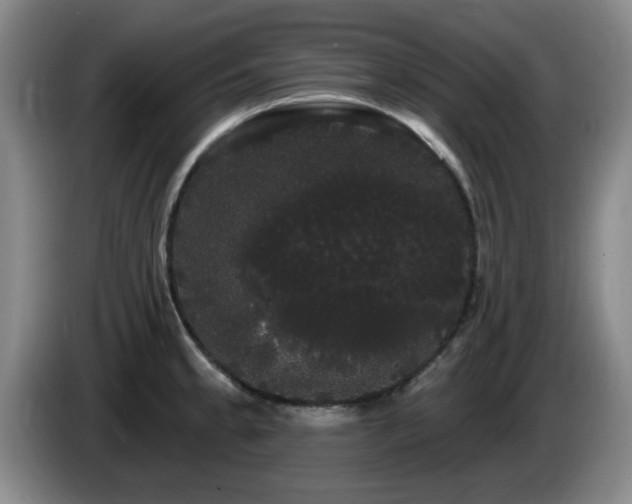 X0000085221189200703091153