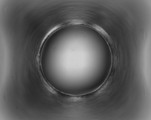 X0000085221190200703091153