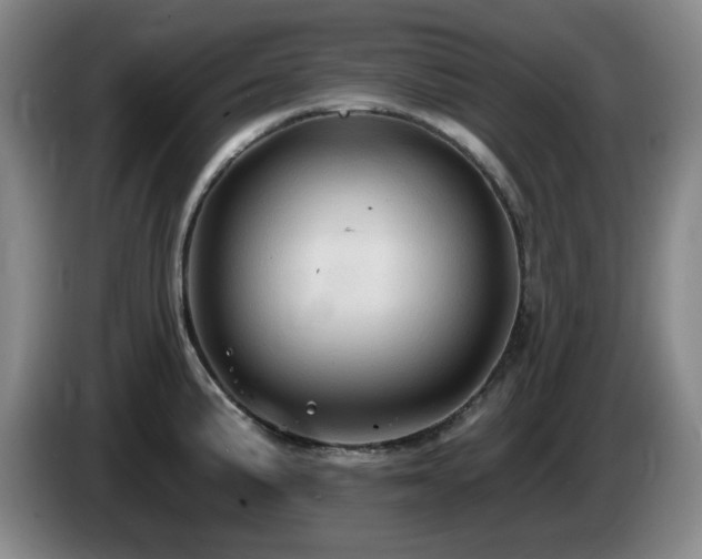 X0000085221191200703091153