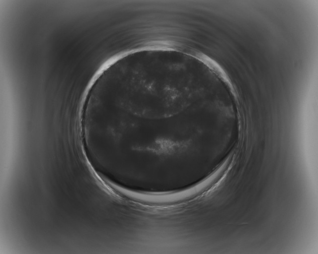 X0000085221192200703091153