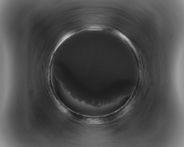 X0000085221194200703091153