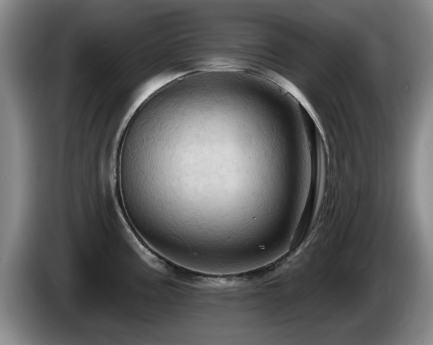 X0000085221195200703091153