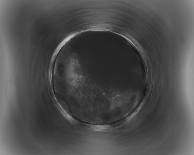 X0000085221196200703091153