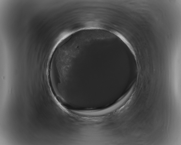 X0000085221197200703091153