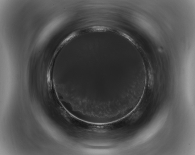 X0000085221198200703091153