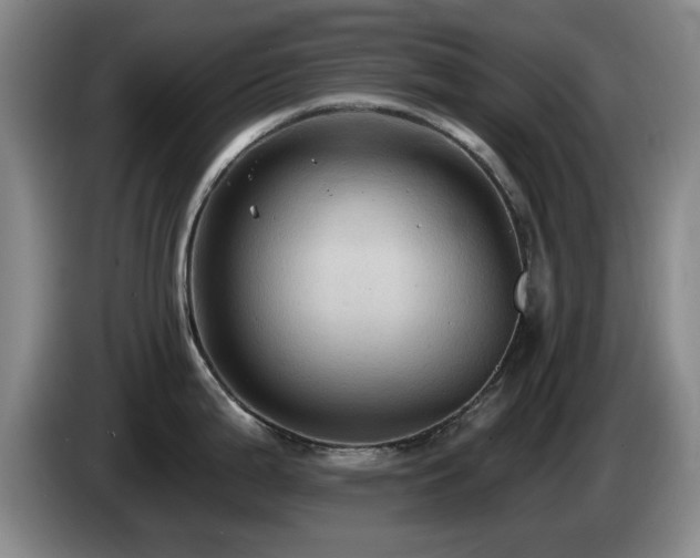 X0000085221199200703091153