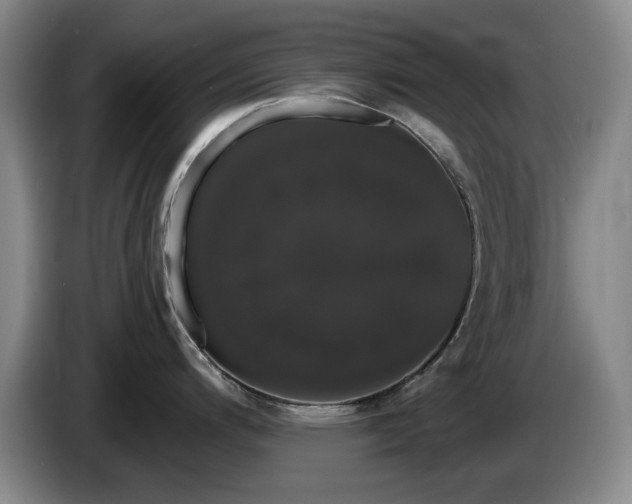 X0000085221200200703091153