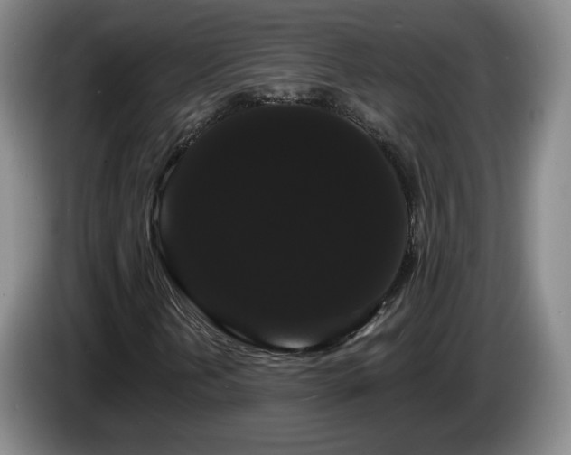 X0000085221202200703091152