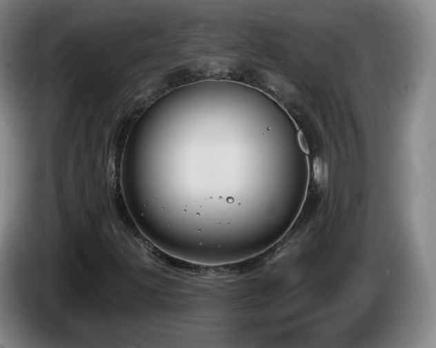 X0000085221203200703091152