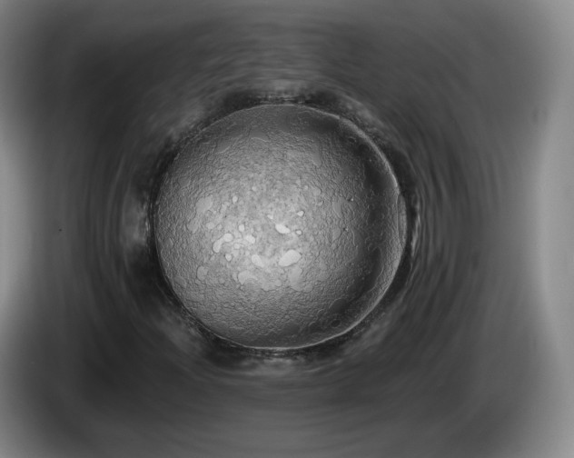 X0000085221204200703091152