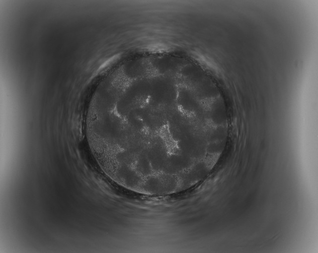 X0000085221205200703091152