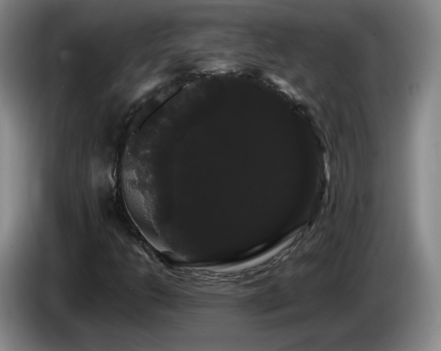 X0000085221206200703091152