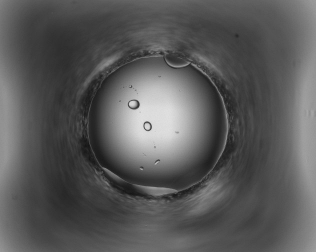 X0000085221207200703091152