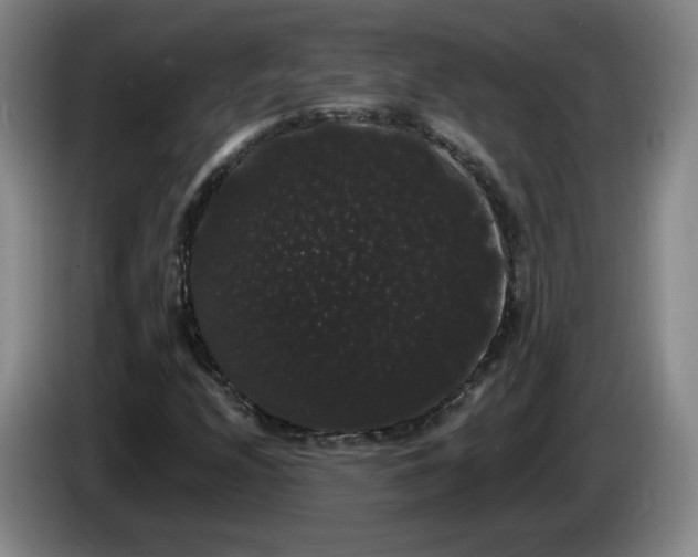 X0000085221208200703091152