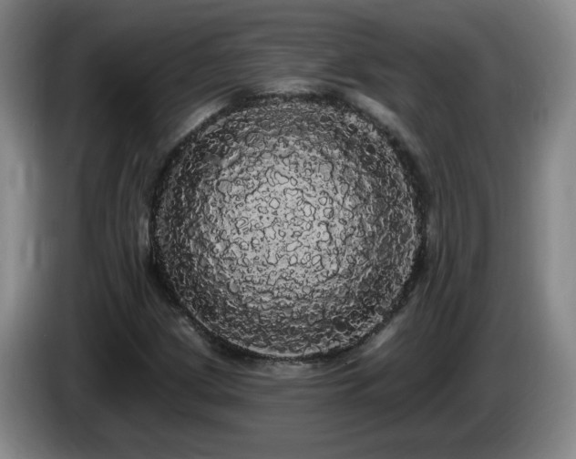 X0000085221209200703091152