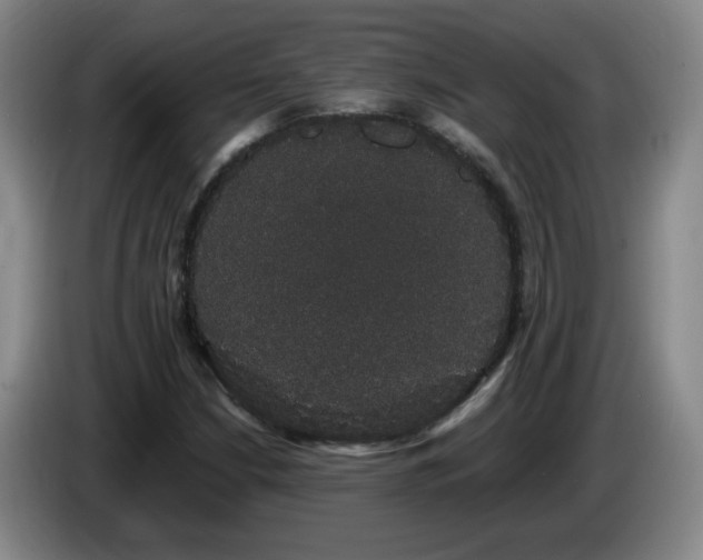 X0000085221210200703091152