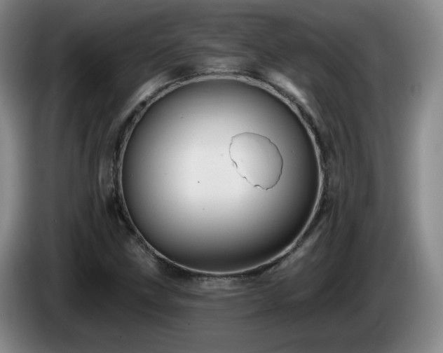X0000085221211200703091152