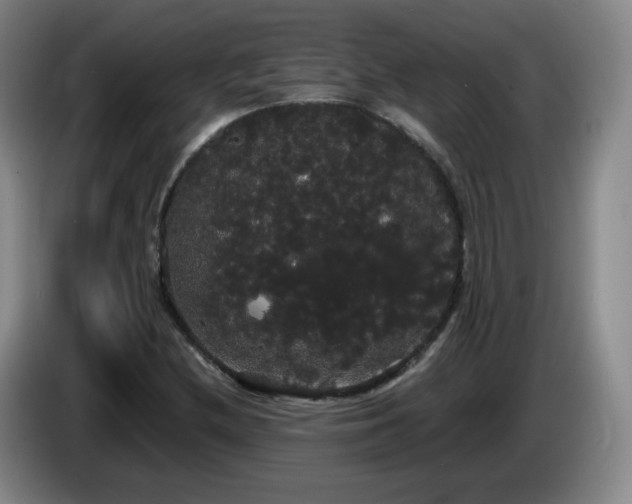 X0000085221212200703091152