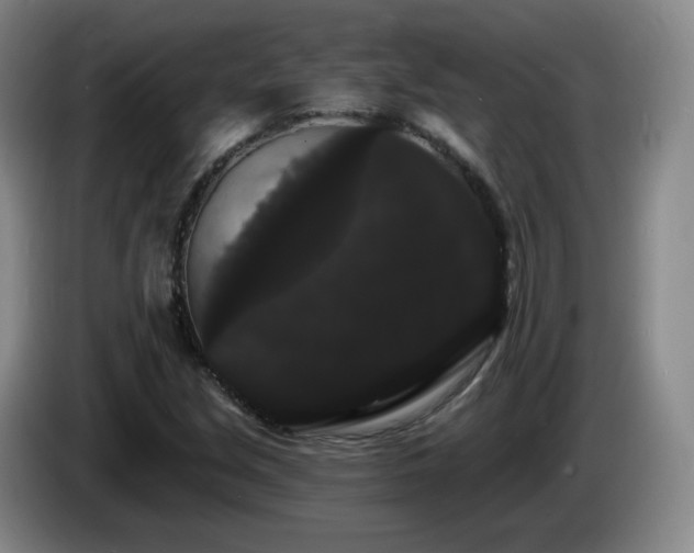 X0000085221213200703091152
