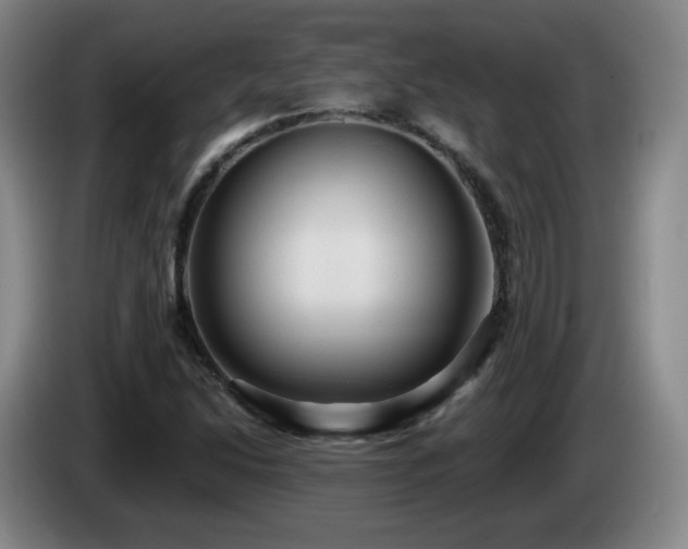 X0000085221214200703091152